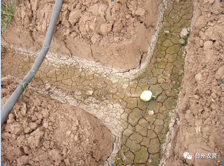 臺州農資 臺州農資