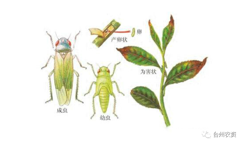 1675662142318994.png 640 (32).png