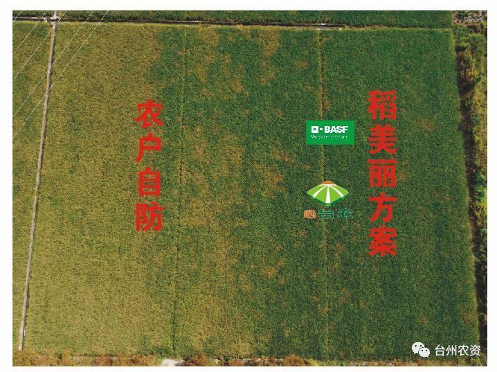 1675664095745912.png 640 (42).png