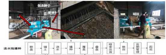 臺州農(nóng)資 臺州農(nóng)資